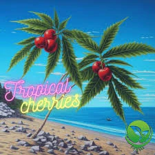 HDH FARMS - Tropical Cherry 7GM (S) Main Image