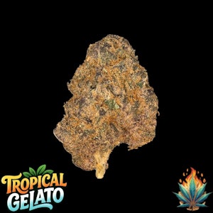 Native Fire - Native Fire 3.5g- Tropical Gelato