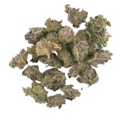 High Noon |Tropical Infusion | B Buds