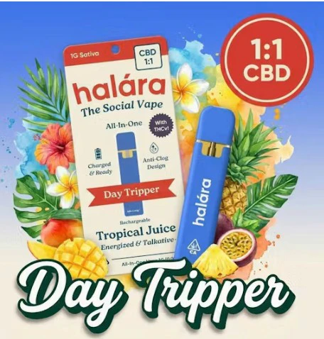Halara - Halara 1g Tropical Juice CBD 1:1 AIO Disposable (Day Tripper) Main Image