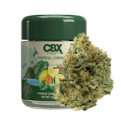 Tropical Lemonade (S) | 3.5g Premium Indoor Flower | CBX