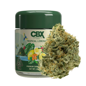 CANNABIOTIX - Tropical Lemonade (S) | 3.5g Premium Indoor Flower | CBX