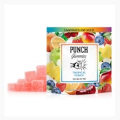 Tropical Punch Gummies 100mg