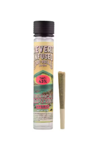 Revert - Tropical Temptation | Infused Pre-roll | 0.7g |  Revert