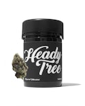 Heady Tree - Tropical Tsunami - 3.5g - Flower