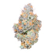 Connected - Tropical Z Flower - 14G (Smalls)