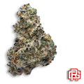 Tropical Gas Flower