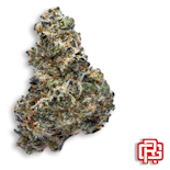 Tropical Gas Flower