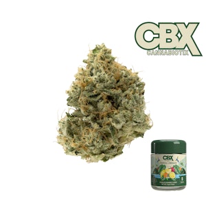 CANNABIOTIX - Tropical Lemonade