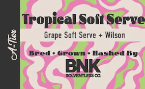 Tropical Soft Serve Rosin Concentrate | 2g (70µ-150µ Live Hash Rosin)