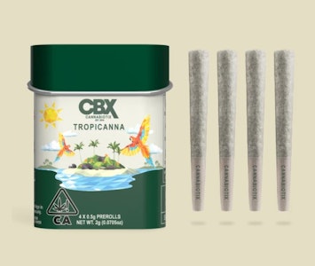 CANNABIOTIX - CBX - Tropicana - 2g Pre Rolls - 4pk