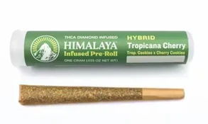 Himalaya 1g Tropicana Cherry Infused Preroll