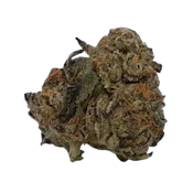 Tropicana Cherry