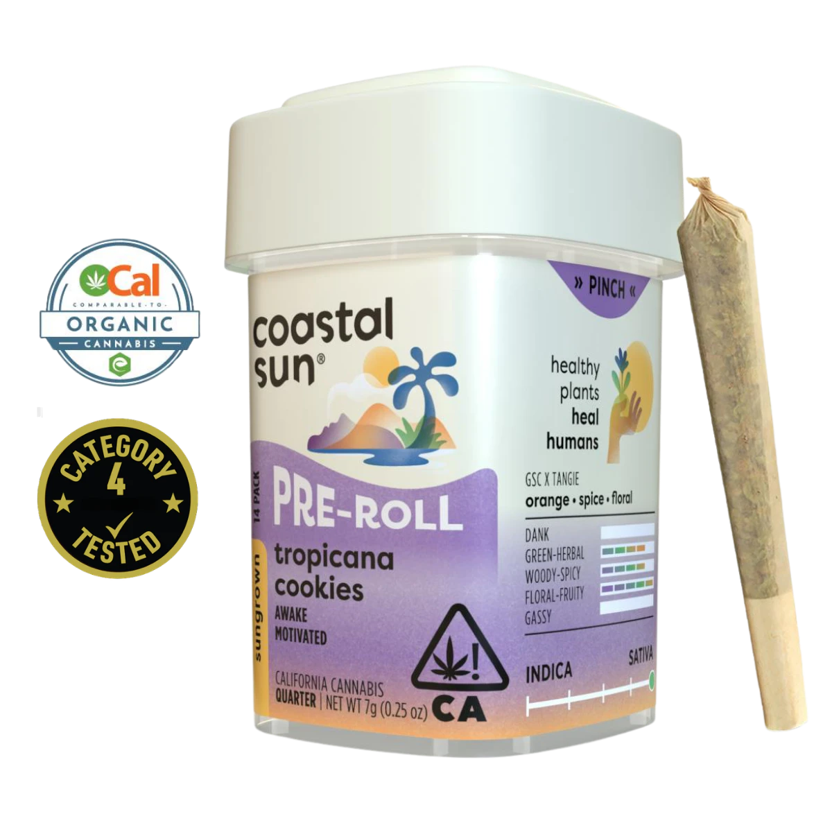 Coastal Sun - Tropicana Cookies (S) | .5g 14pk Sun Grown Preroll | Coastal Sun Main Image