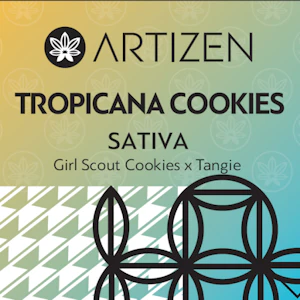 Artizen - Tropicana Cookies - Flower - Artizen - 3.5g