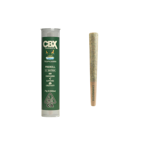 CANNABIOTIX - Tropicanna | .75g Preroll (S) | CBX