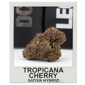 Tropicana Cherry