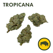 Bison Botanics - Tropicana - Flower - 3.5g