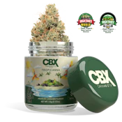 Tropicanna (S) | 3.5g Premium Indoor Flower | CBX