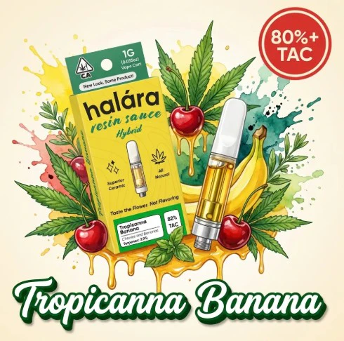 Halara - Halara 1g Tropicanna Banana Live Resin Sauce Cartridge Main Image