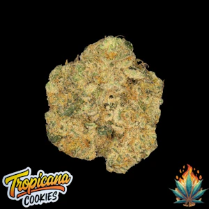 Native Fire - Native Fire 3.5g- Tropicana Cookies