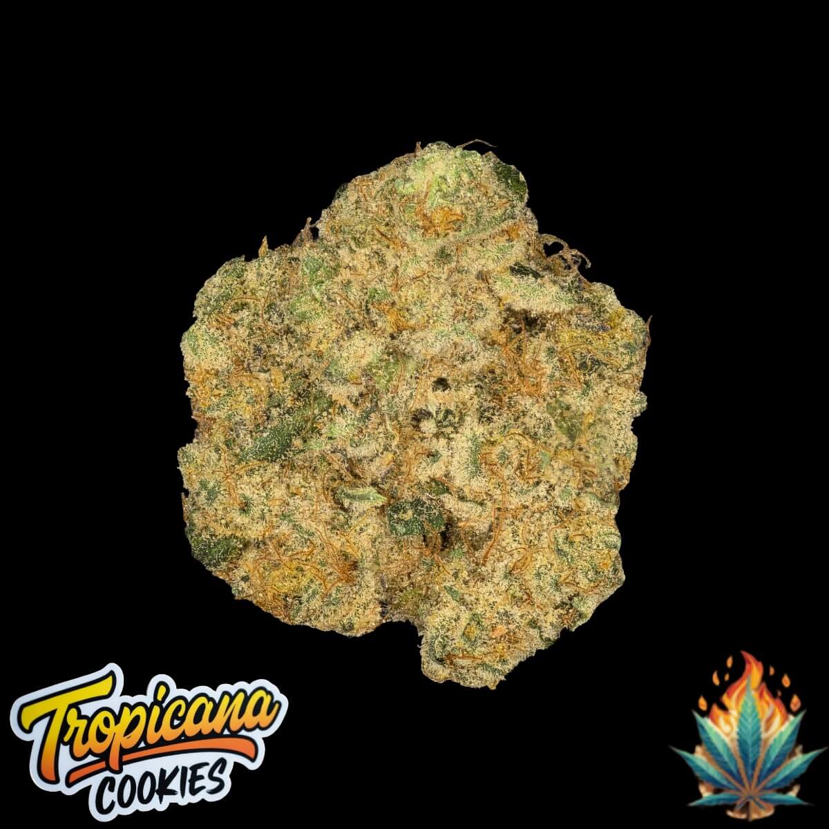 Native Fire *OZ*- Tropicana Cookies