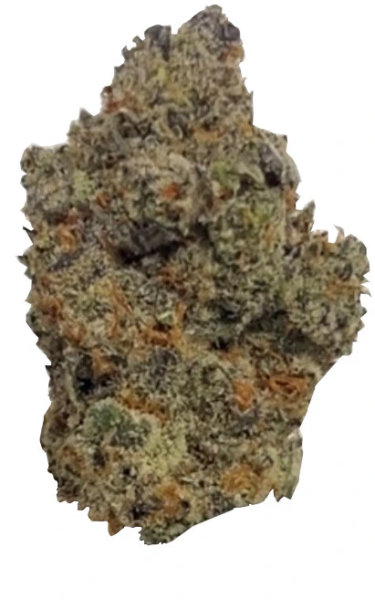 Couth Farms - Tropsicle | Hybrid Main Image