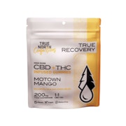 Motown Mango 1:1 THC:CBD 100mg Gummies (5x20mg) - TRUE NORTH COLLECTIVE