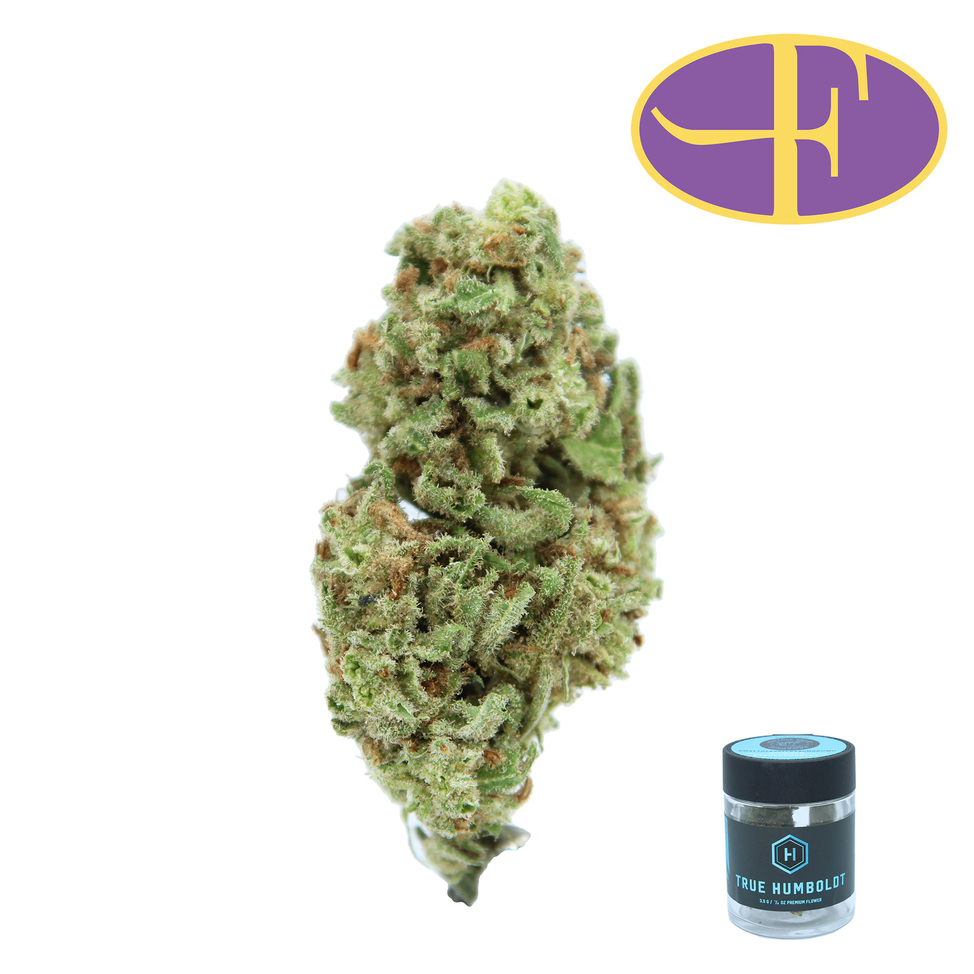True Humboldt - Mattole Valley Blue Dream Main Image