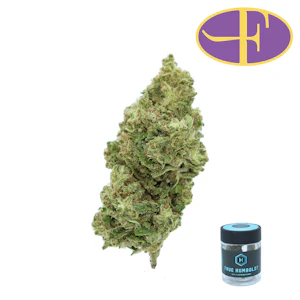 TRUE HUMBOLDT - Mattole Valley Jack Herer