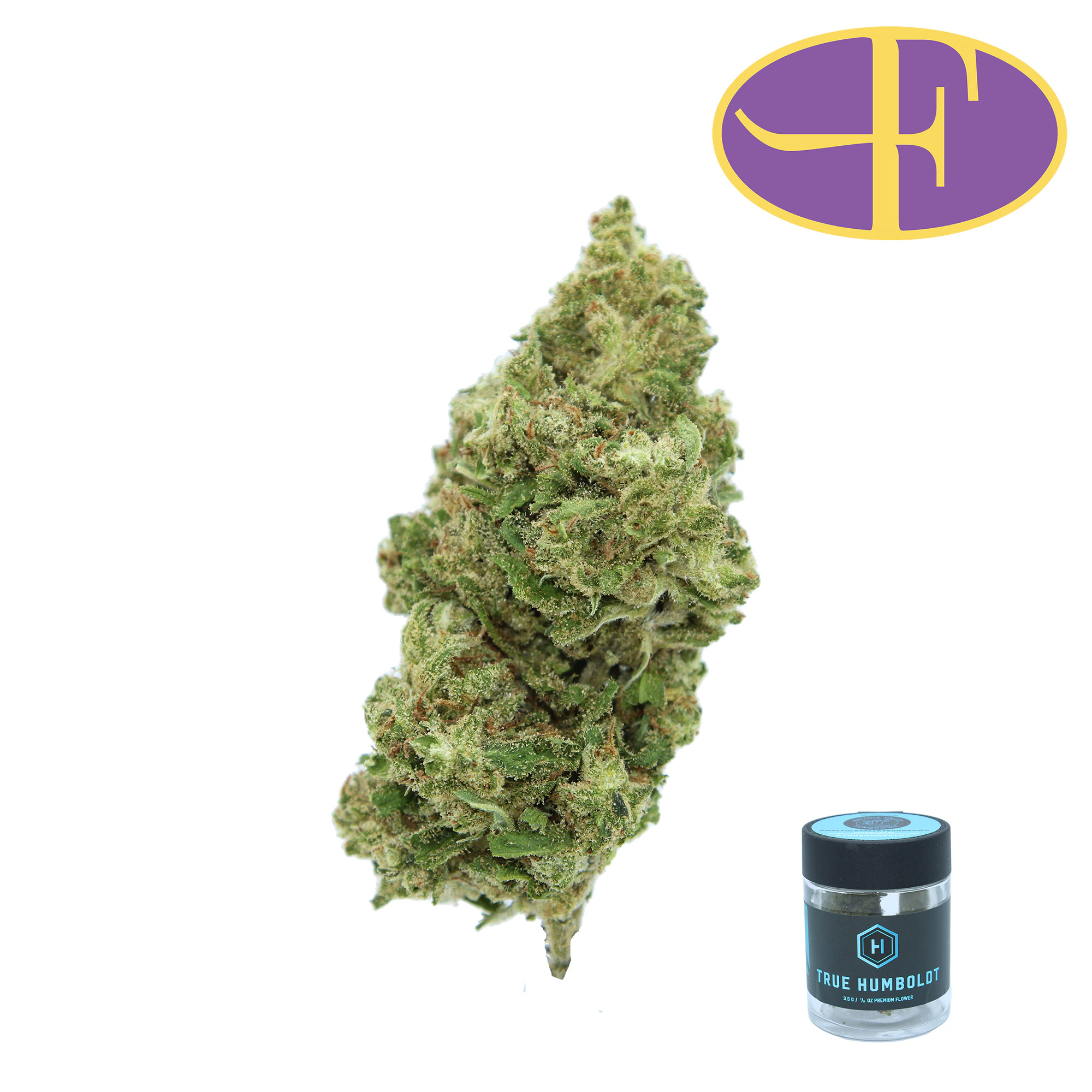 True Humboldt - Mattole Valley Jack Herer Main Image