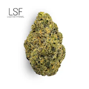 Frosted Truffle Pie Bulk Flower - LIGHTSKY FARMS