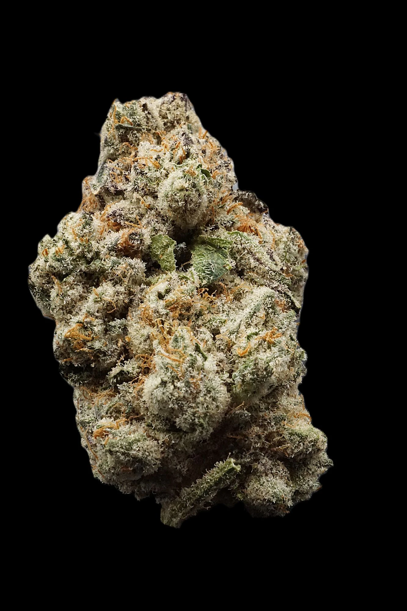 Frosted Farms - Frosted Farms - Truffle Breath - Bulk Flower Main Image