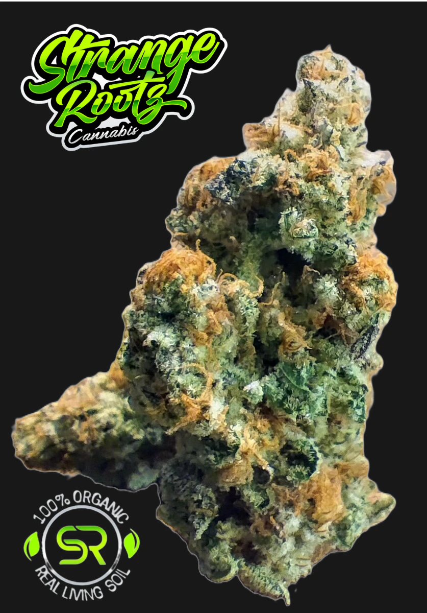 Strange Rootz - Truffle Treats-Buds Main Image