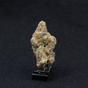 THC | Truffle Treats