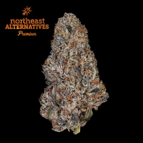 northeast alternatives - Trufflegasm Flower - 3.5g - NEA Main Image