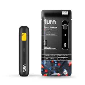 TURN - Turn - 1g AIO - Berry Dreamy
