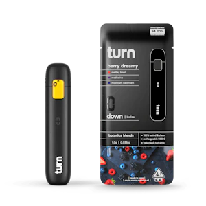 TURN - Turn - 1g AIO - Berry Dreamy