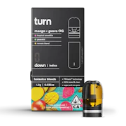 Turn - 1g Pod - Mango x Guava