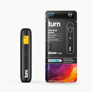 Turn - 1g AIO - Wild Fruit Punch