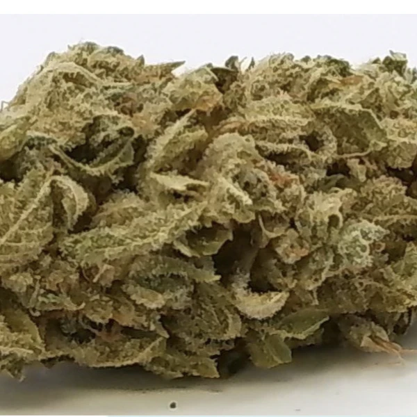 NorthPark - NorthPark - Turtle Taffy (3.5g) Main Image