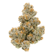 Tuscan Gelato - 3.5g (IH) - Sense