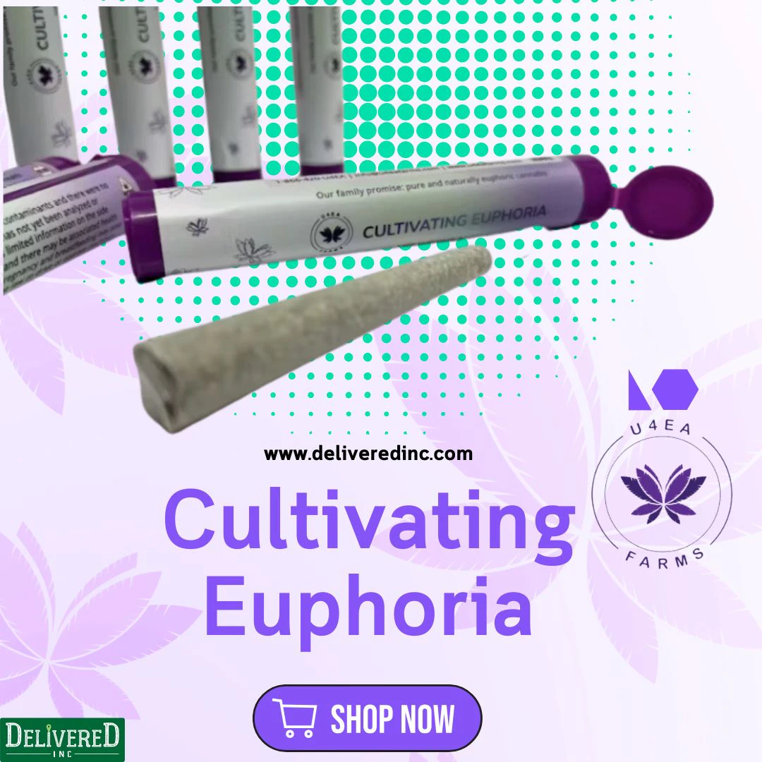 U4EA Farms - Space Runtz | 1g PREROLL | TAXES INCLUDED Main Image