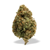 UB Papaya Fuel | 3.5g