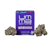 UMMA | PINK LOBSTER | FLOWER | 3.5G