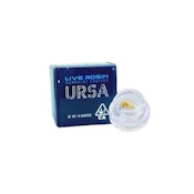 URSA - Papaya - CC Live Rosin - 1G