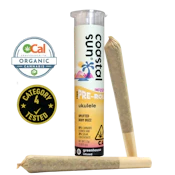 Ukulele (S) | .75g 2pk Infused Preroll | Coastal Sun