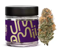 D26 Umamii Blueberry Malasada Flower 3.5g