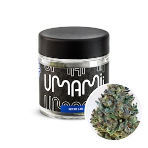 UMAMII - Umamii - Ice Cream Cake - 1g