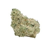 UB Gucci Fruit | 3.5g